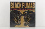 Black Pumas – Chronicles Of A Diamond (clear vinyl) – Vinyl LP