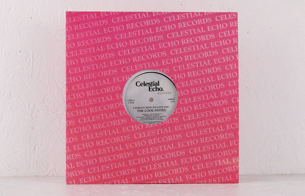 The Cool-Notes – I Forgot How To Love You – Vinyl 12