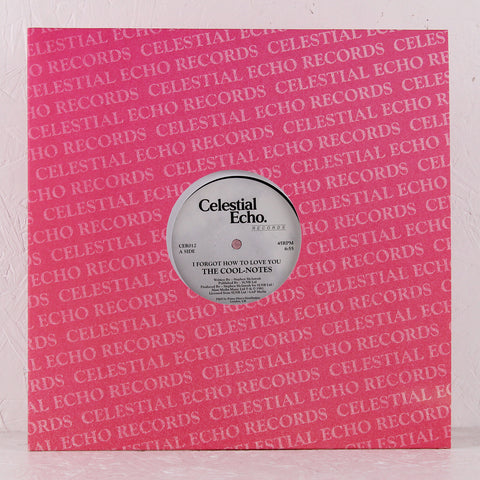 The Cool-Notes – I Forgot How To Love You – Vinyl 12