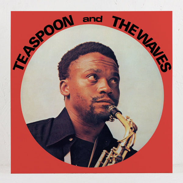 Teaspoon And The Waves - Vinyl LP/CD – Mr Bongo