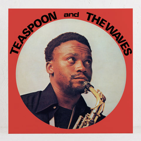 Teaspoon And The Waves - Vinyl LP/CD – Mr Bongo