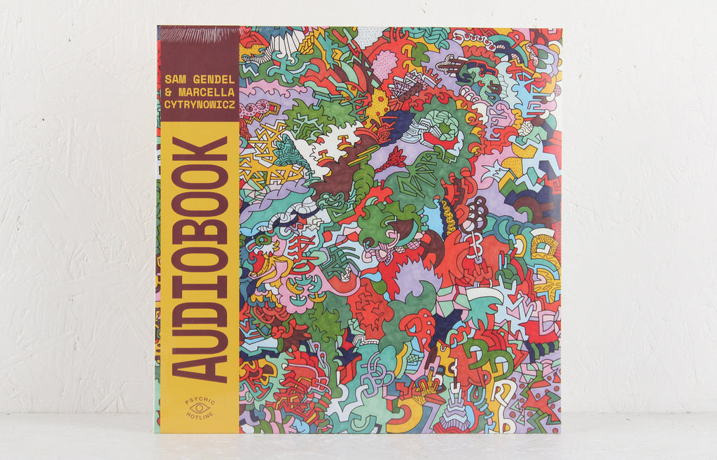 Audiobook – Vinyl LP