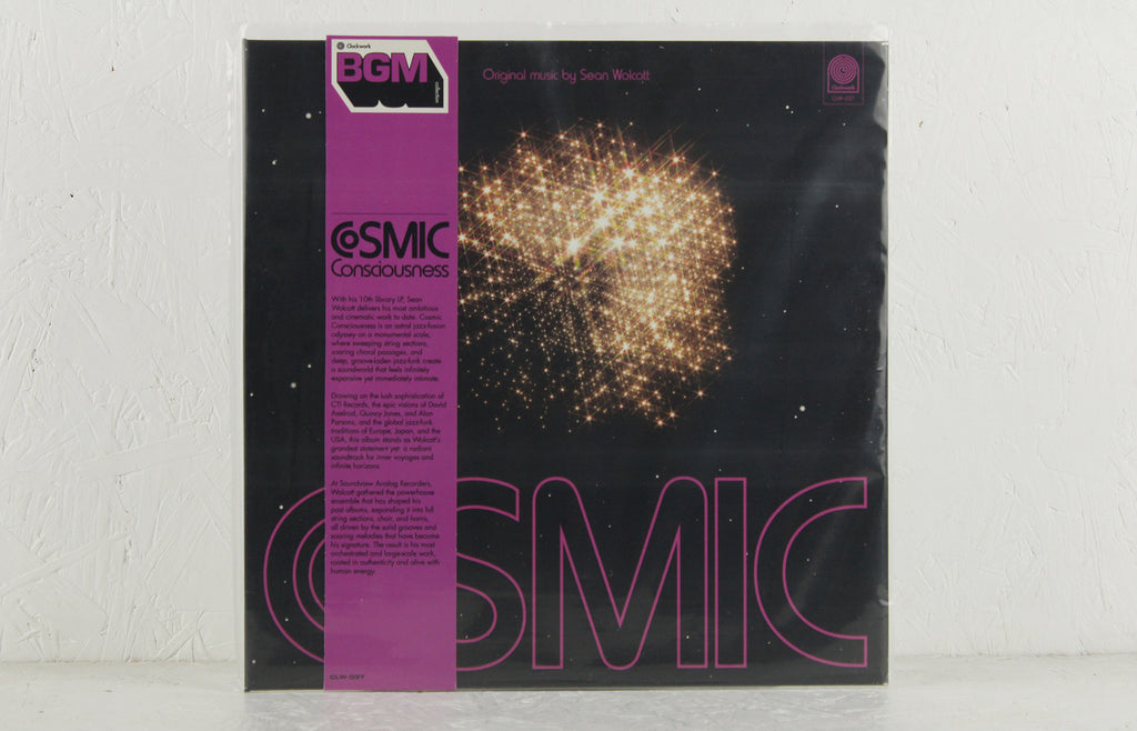 Cosmic Consciousness – Vinyl LP