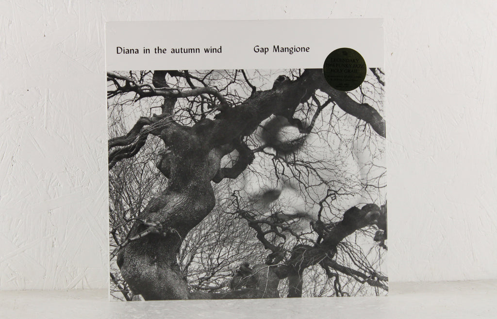 Diana In The Autumn Wind – Vinyl LP