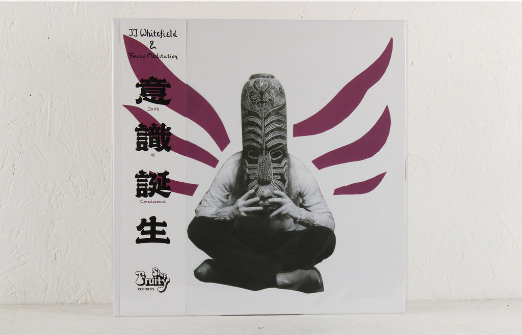 Birth Of Consciousness 意识诞生 – Vinyl LP