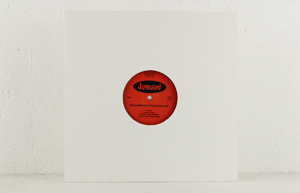 We Can Work It Out – Vinyl 12"