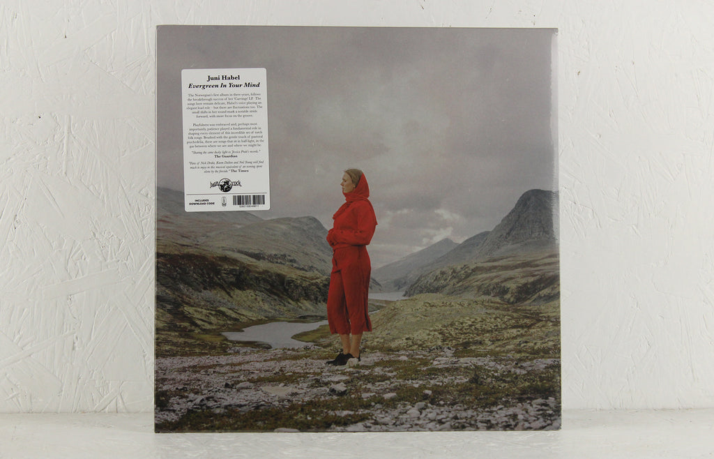 Evergreen In Your Mind – Vinyl LP