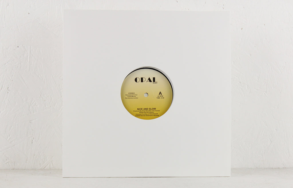 Nice and Slow – Vinyl 12"