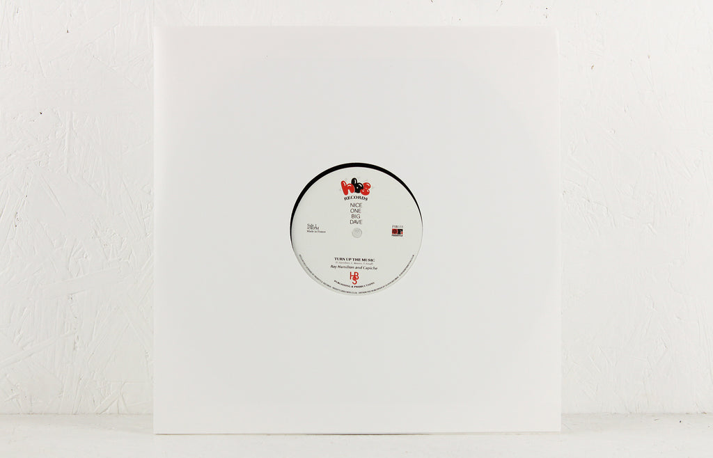 Roy Hamilton And Capiche Turn Up The Music Vinyl 12