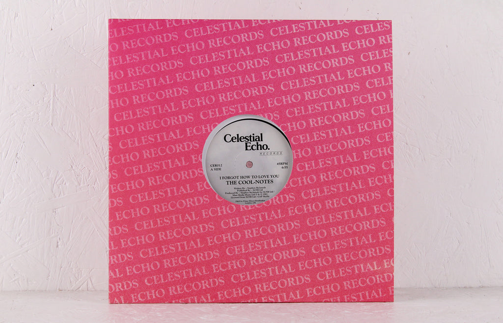 I Forgot How To Love You – Vinyl 12"