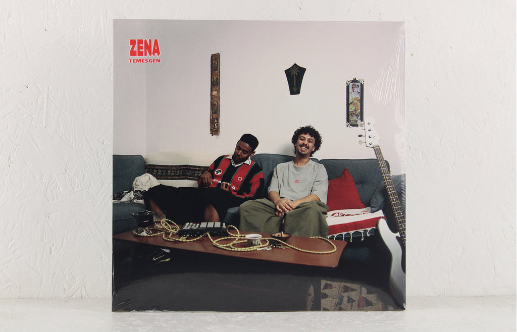 TEMESGEN – Vinyl LP