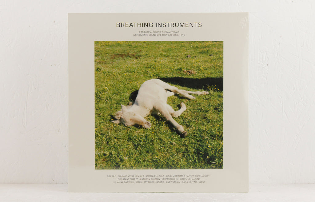 Breathing Instruments (curated by Kaitlyn Aurelia Smith)– Vinyl 2LP