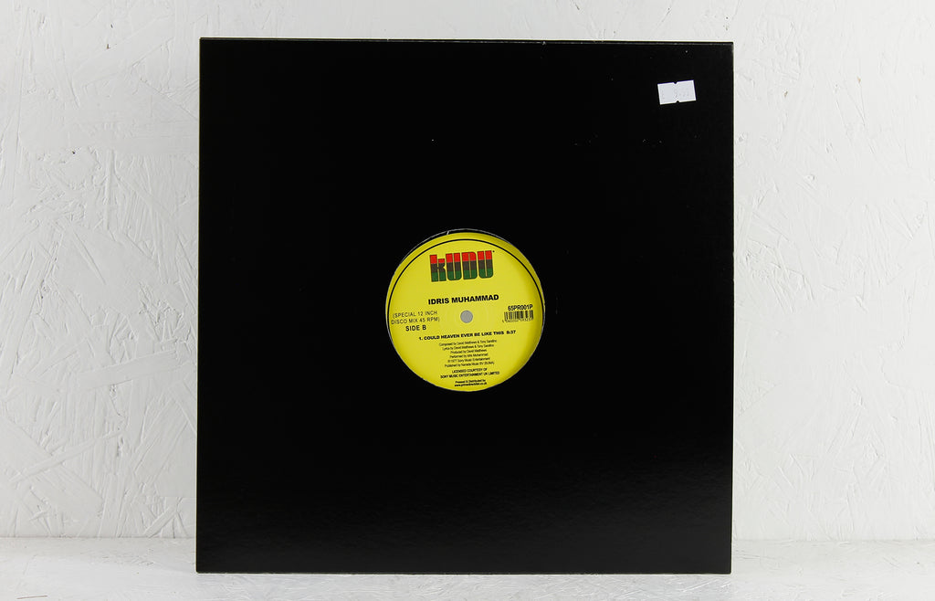 Could Heaven Ever Be Like This (Late Nite Tuff Guy Remix) – Vinyl 12"
