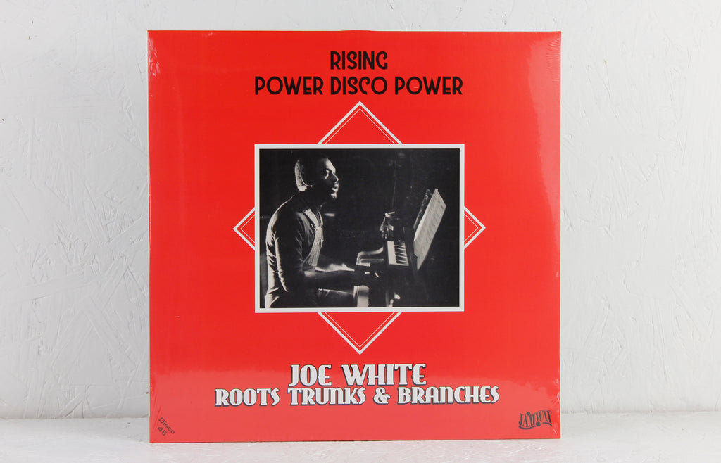 Rising / Power Disco Power – Vinyl 12"