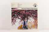 Pique Roscoe – The Cruel Tutelage Of Pique Roscoe – Vinyl LP