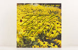Let Your Hair Down – Waiting Room – Vinyl LP