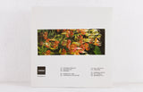 Yadava – It Rains Here – Vinyl 2-LP – Mr Bongo