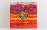 Four Tet ‎– Teenage Birdsong – Vinyl 12"